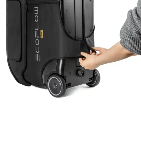Borsa da trasporto protettiva delta pro Ecoflow