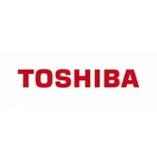 Developer orig. toshiba e-studio 160/16/200/250 - d-1600